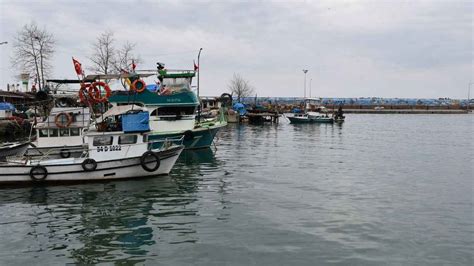 Akçakoca'da balıkçılar şiddetli rüzgarın ardından yeniden denize açıldı - Son Dakika Haberleri